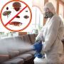 Pest Control Treatment by Extreme Xterminating Pest Control
