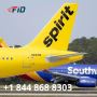 Spirit Airlines Phone Number - +1 844 868 8303