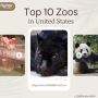 (800) 416-8919 - Top Zoos to Visit in the United States