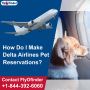 Delta Airlines Pet Travel Policy | Flyofinder