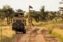 Uganda's Untamed Beauty: A Captivating Safari Adventure!