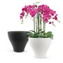 Purchase Ceramic Pots For Plants From Galore Home