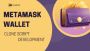 What does a meta mask wallet's private key indicate? 