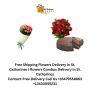 Free Shipping Flowers Delivery in St. Catharines | flowers C