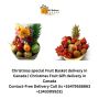 Christmas Flowers delivery in Canada | Christmas Roses