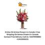 Online Christmas Flowers to Canada | Free Shipping Christmas