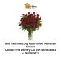 Send Valentine's Day Roses Flower Delivery in Canada