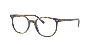 Buy Ray Ban Elliot Rx5397 From The Glasses Company