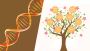 Find Best Ancestral DNA Testing Services