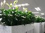 Need a Gardener? Simply Book Gardener Online Here Need a Gardener? Simply Book Gardener Online Here