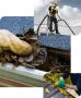 Affordable Gutter Cleaning Services for a Hassle-Free Experi