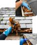 Sparkling Gutters Guaranteed with Expert Gutter Cleaning Ser