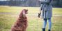 Dog Behavior Training Iowa | Homeward Bound Animal Behavior 
