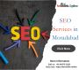 SEO Services in Moradabad