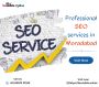 Professional SEO services in Moradabad