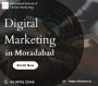 Digital Marketing in Moradabad