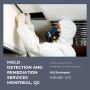 Mold Detection And Remediation Services Montreal, Quebec