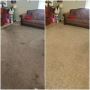 Top-Quality Carpet Cleaning in Los Angeles