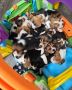 HOME RAISED BEAGLE PUPPIES FOR REHOME HOME RAISED BEAGLE PUPPIES FOR REHOME