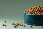 Buy Dog Dry Food in Singapore From Top Brands