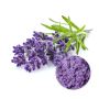 Wholesale Organic Lavender Powder
