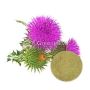 Wholesale Organic Blessed Thistle Powder