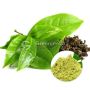 Wholesale Organic Green Tea Extract Powder