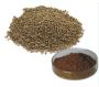 Wholesale Perilla Seed Extract Powder