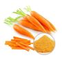 Wholesale Organic Carrot Powder