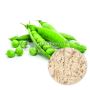 Wholesale Organic Pea Protein Powder
