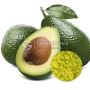 Wholesale Organic Avocado Powder