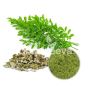 Wholesale Organic Moringa Leaf Powder