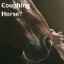 FARAS Bio Broncho Care for an effective horse cough treatmen