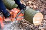 Tree Service Experts in Fort Mill Tree Service Experts in Fort Mill
