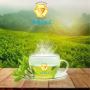 Get The Benefits of Green Tea: A Healthy Elixir - junglestin