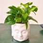 Shop Online Plants To Bangalore With 30% Off Via OyeGifts