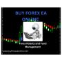  Buy Forex Expert Advisor and Skyrocket Your Profits!