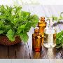 Buy Natural Peppermint Oil at Best Prices in India