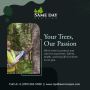 Professional Tree Cutting & Stump Removal Service 