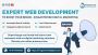 Expert Web Development To Boost Your Brand 