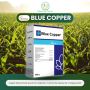 The Advantages of Blue Copper with Krigenic Agri Pharma