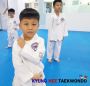 Taekwondo basic kick, punch and block for beginners