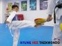 Taekwondo daily routine for students of all belts