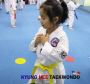 Kyunghee Taekwondo: go step-by-step for beginners