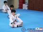 Rank in TKD r denoted via different colored belts