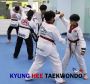 TKD, a dynamic martial art that focuses on speed, power etc.