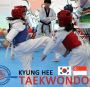 Taekwondo teaches you to fight at all ranges