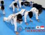 TKD: passion-driven challenge striving 4excellence