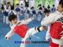 TKD students learn how 2control distance when executing kick