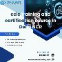 CCIE Enterprise Infrastructure Training in India at LANNWAN